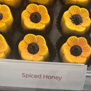 Meet your Posher, Kat